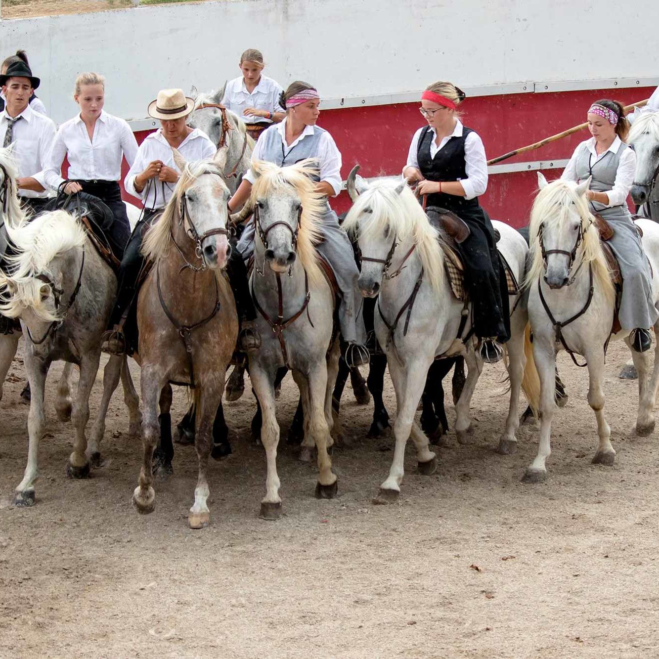 domaine-fangouse-manade-elevage-taureaux-chevaux-camargue-location-salle-mariage-evenements-caleche-lattes-perols-montpellier-mauguio-occitanie-bouches-rhone-visuel-1 domaine-fangouse-manade-elevage-taureaux-chevaux-camargue-location-salle-mariage-evenements-caleche-lattes-perols-montpellier-mauguio-occitanie-bouches-rhone-visuel-1
